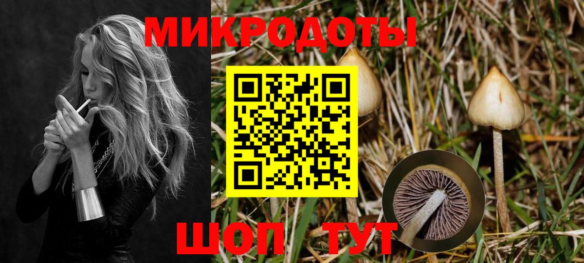 Псилоцибиновые грибы GOLDEN TEACHER Екатеринбург
